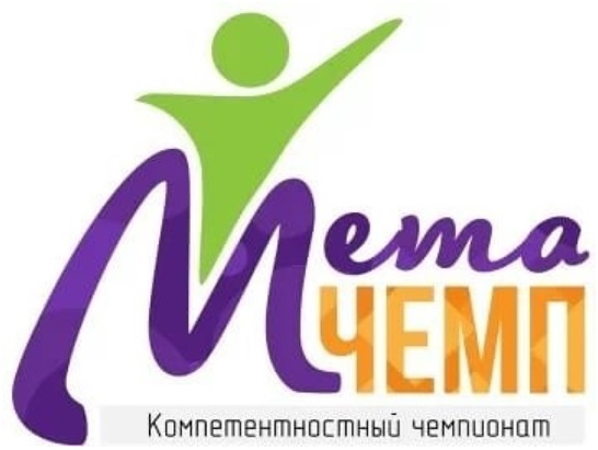 «МетаЧемп 2024».